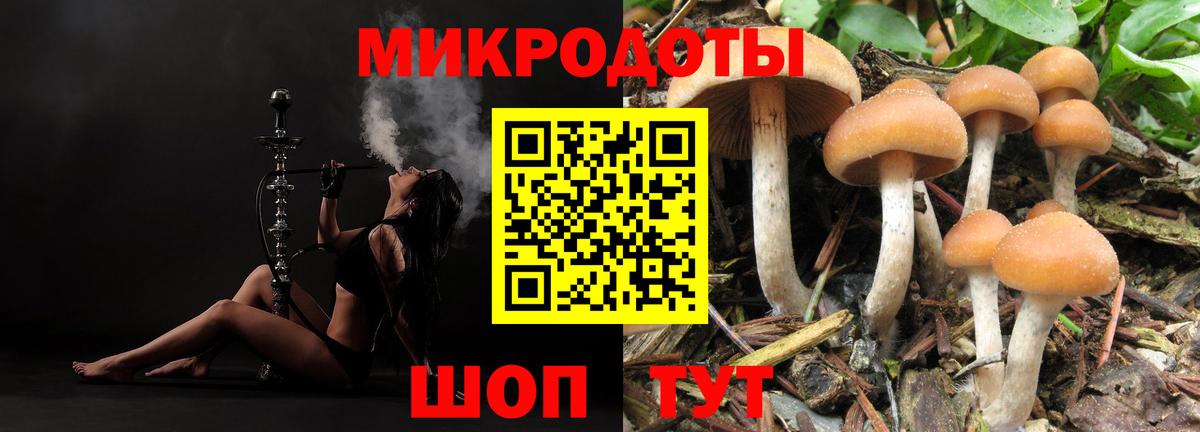 Конаково  Галлюциногенные грибы Psilocybine cubensis  Вход с VPN 