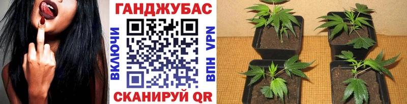 Конопля индика купить наркотики цена Конаково